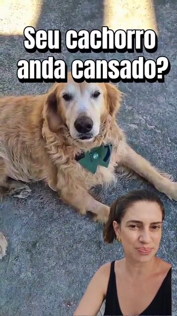 Tutora preparando o pote do cao em casa