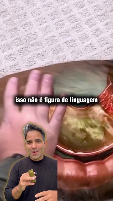 Vídeo sobre a defesa do cão começar no intestino