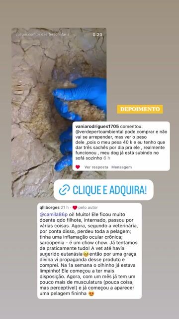 Depoimento de tutora sobre o cão subindo no sofá sozinho