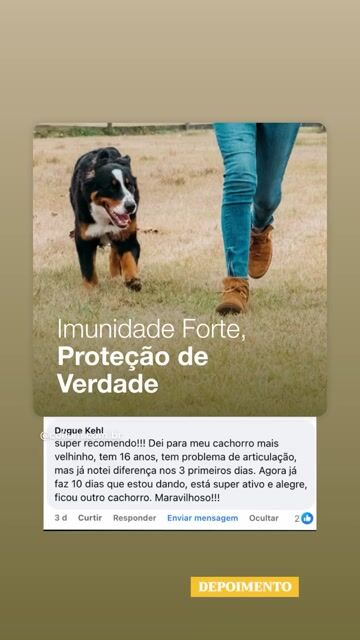 Cão de 16 anos ativo e alegre