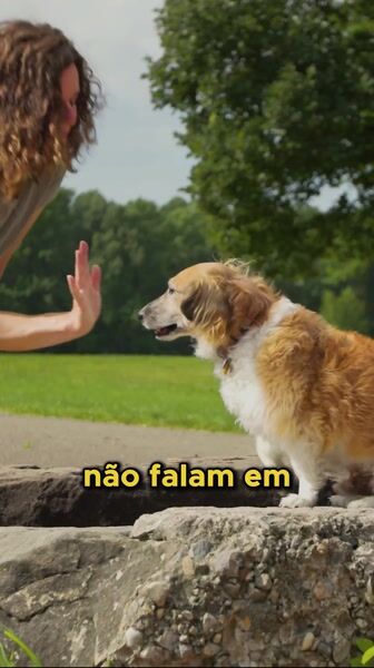 Depoimento de tutora de um cão de 15 anos
