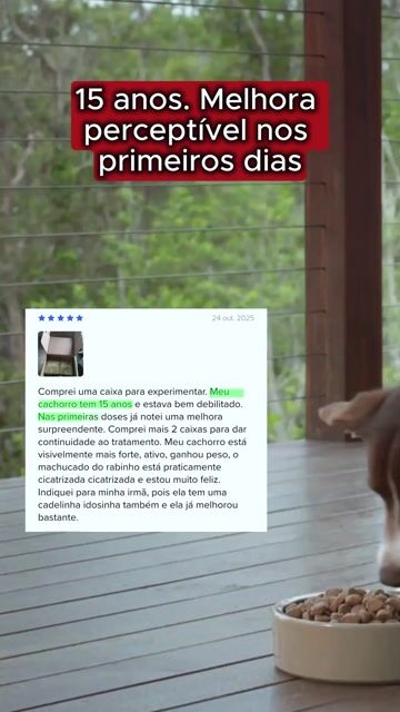 Depoimento de tutor de cão de 15 anos
