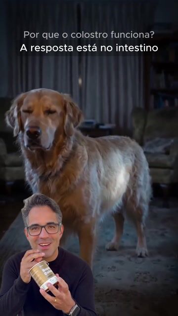 Jefferson, fundador da Cōllum, no vídeo sobre o intestino do cão